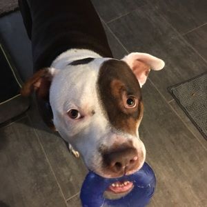 Meet your Posher, Gene